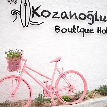 Kozanogluhan Butik Ξενοδοχείο 3*