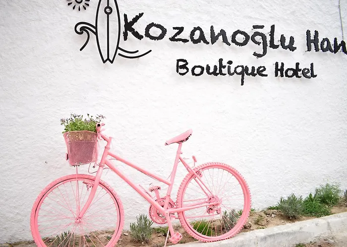 Kozanogluhan Butik 호텔 3*